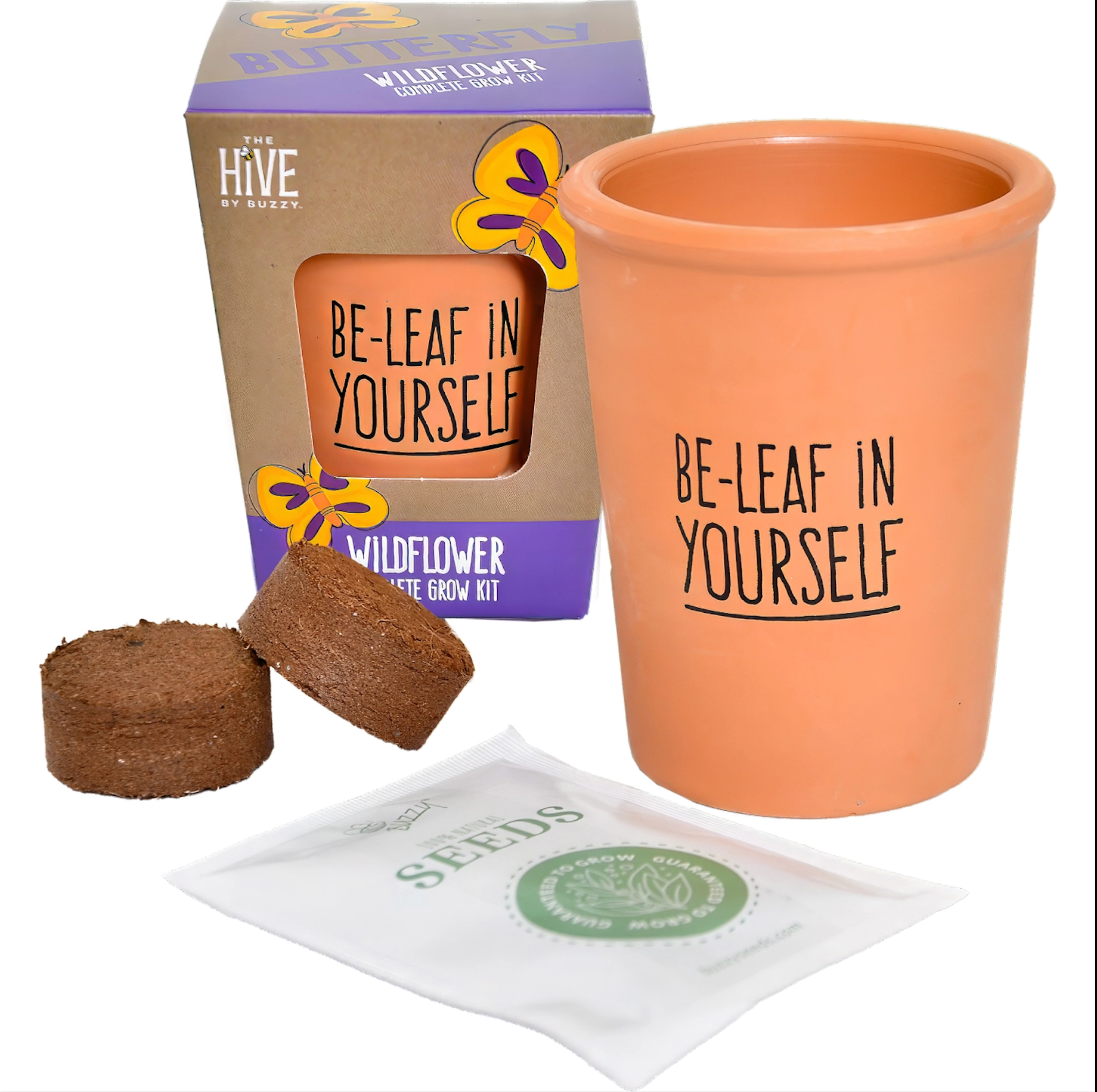 Inspirational Wildflower Grow Kit