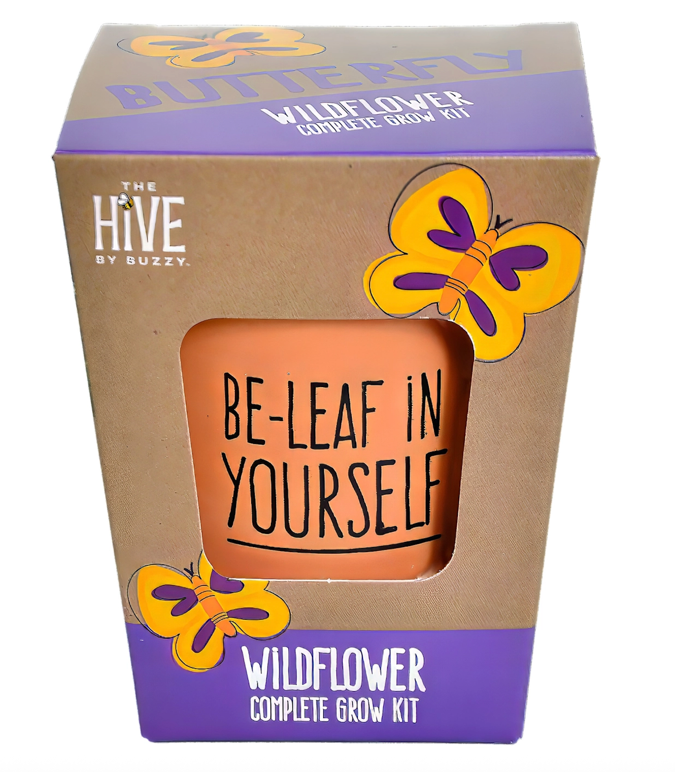 Inspirational Wildflower Grow Kit