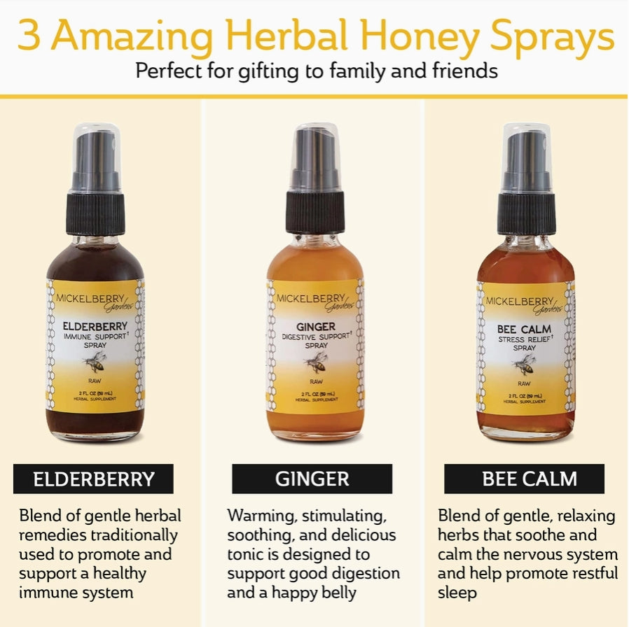 Essential Gift Set - All Day Wellness for the Whole Family