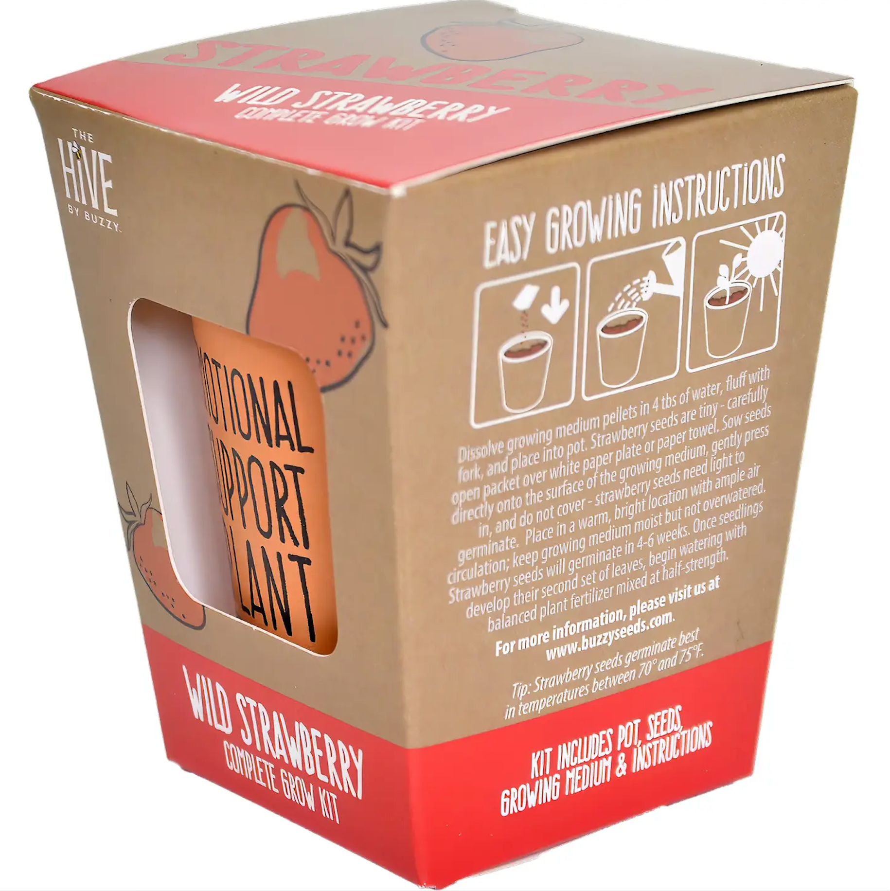 Inspirational Wild Strawberry Grow Kit