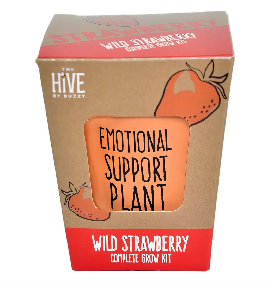 Inspirational Wild Strawberry Grow Kit