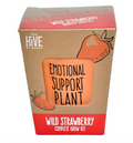 Inspirational Wild Strawberry Grow Kit