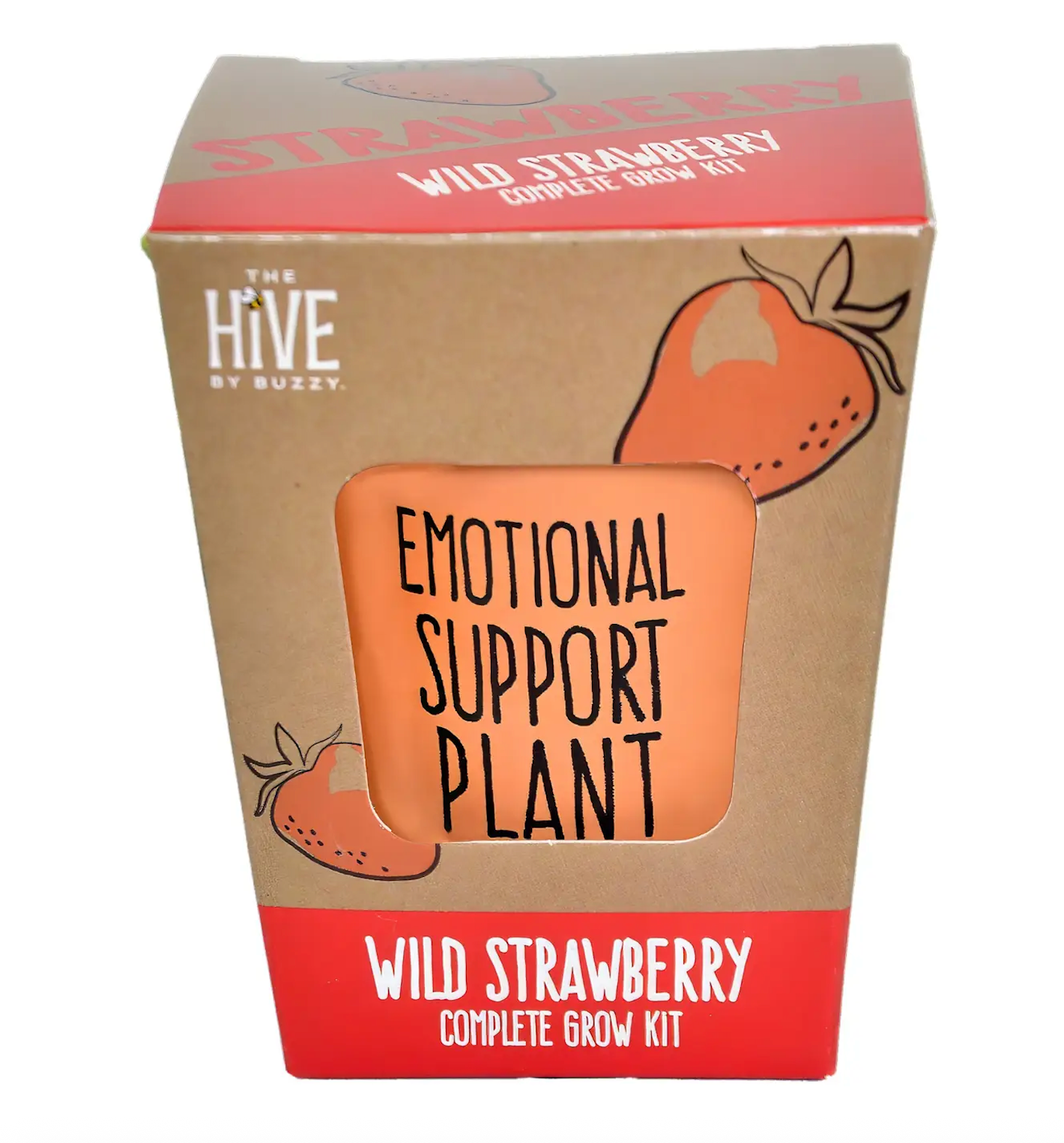 Inspirational Wild Strawberry Grow Kit